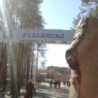 Medinukas prie įėjimo į FizLendą.